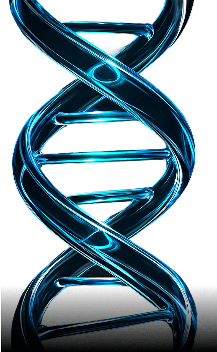 DNA Structure